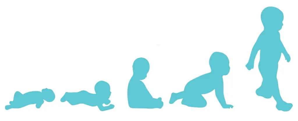 Taille bébé