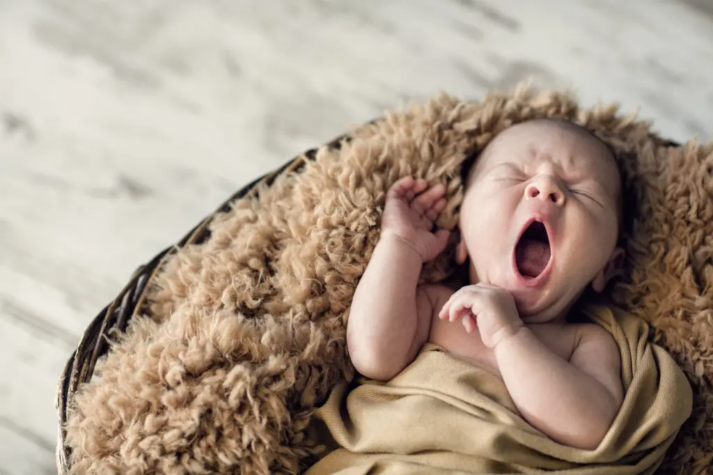 Bébé